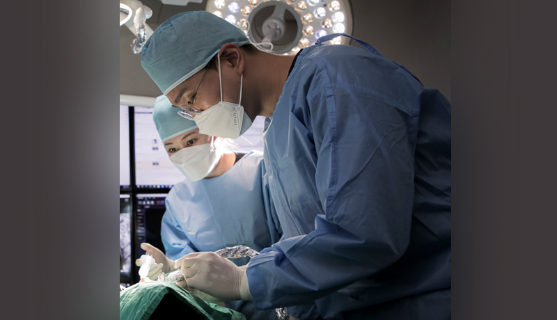 전신질환 있어도 임플란트, 이제는 걱정보다 치료를 선택할 때 [김근일 원장 칼럼]