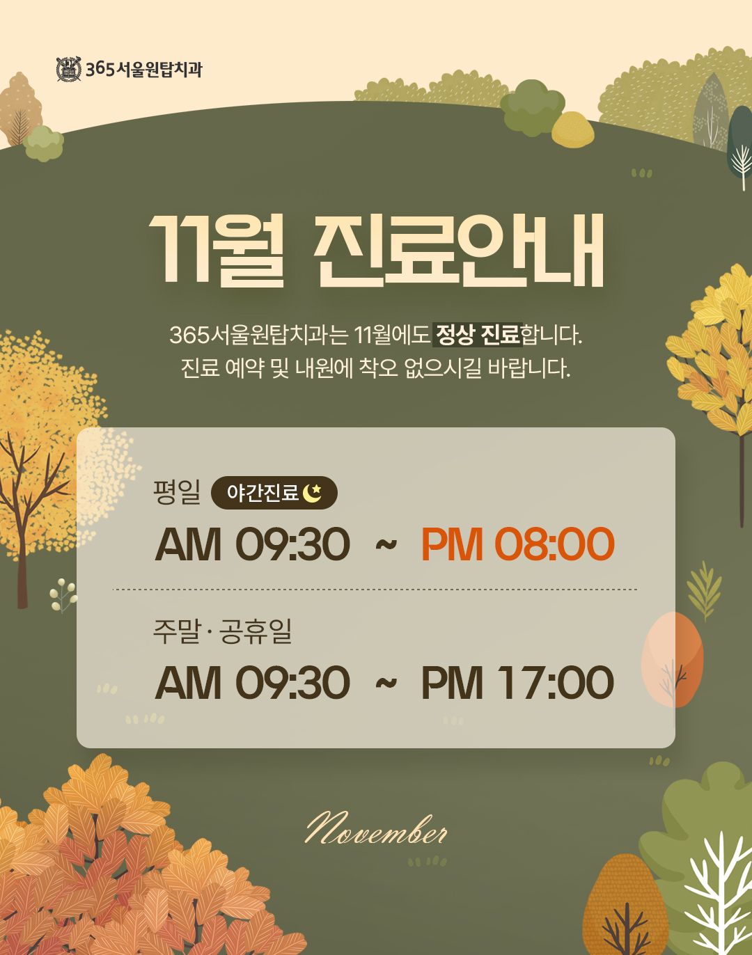 11월 진료일정 안내