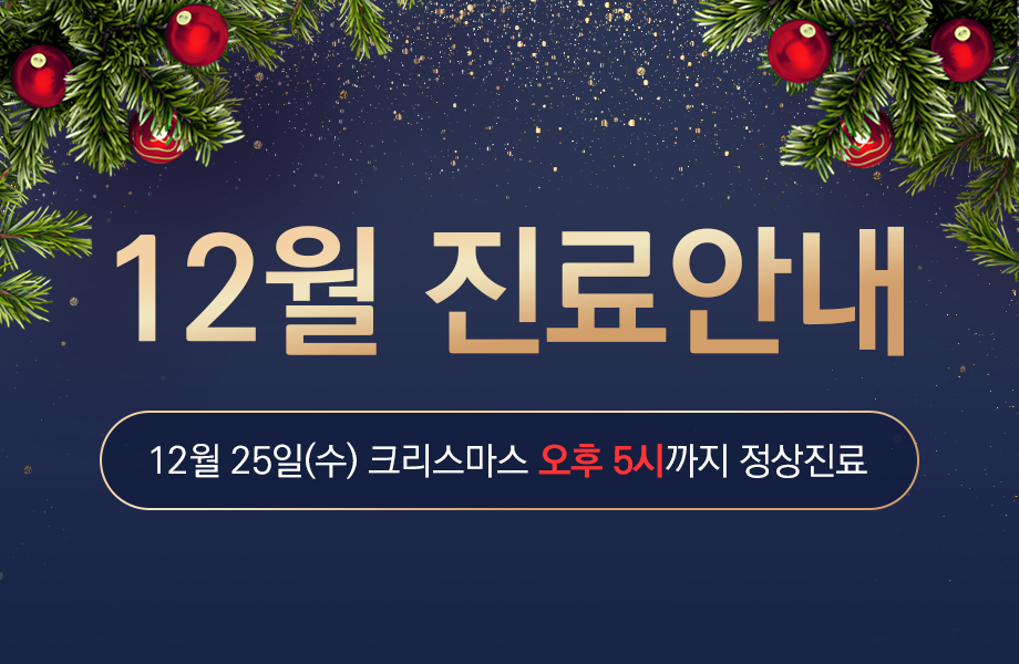 12월 진료일정 안내